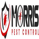 Morris Possum Removal Perth