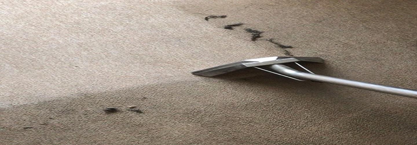 Wirral Carpet Cleaner cover photo