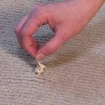 Wirral Carpet Cleaner - photo 5