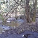 Warren Nett & Associates LLC - photo 1