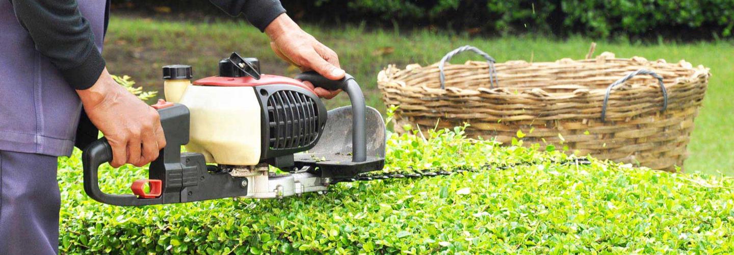 Pewaukee Tree Care cover photo