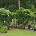 Greenleaf Tree & Property Services - photo 1