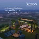 The Storeys - photo 2