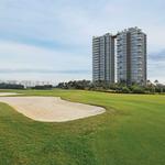 The Storeys - photo 4