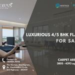 The Storeys - photo 5