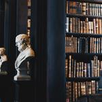 Sewell Law - photo 4