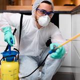 Ancient City Termite Removal Experts - Pest Control in St. Augustine