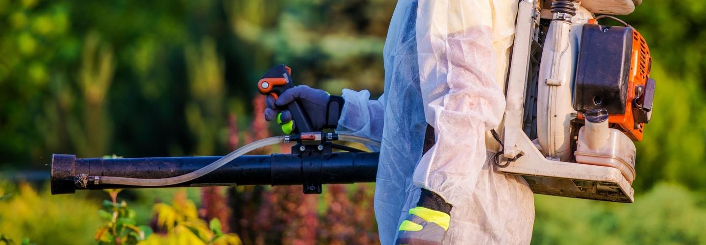 Ancient City Termite Removal Experts cover photo