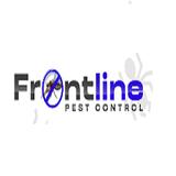Frontline Wasp Removal Sydney