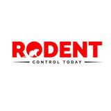Rodent Control Hobart - Pest Control in Hobart