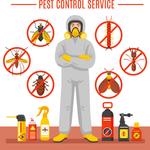 Tex Pro Pest Control - photo 3