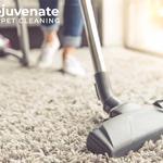 Rejuvenate Carpet Cleaning Canberra - photo 8
