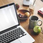 Fluffy Bunnies Cleaning Service - photo 1