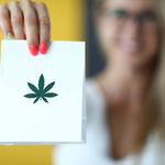 Downtown SD Marijuana Delivery - photo 3