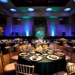 Omega Design Events - photo 1
