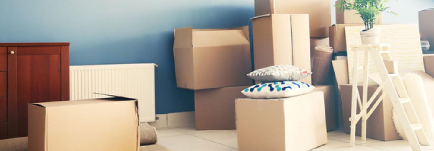 Canberra To Brisbane Removalists cover photo