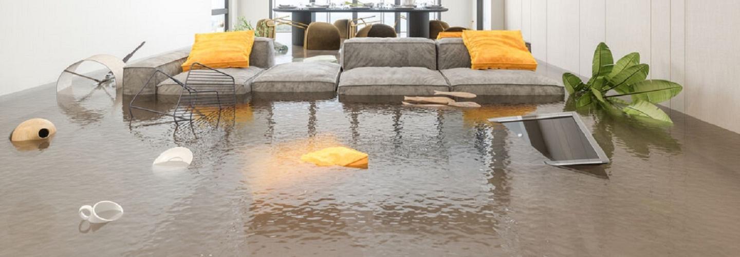 Flood Damage Restoration Belconnen cover photo