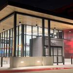 Futurian Systems - North Texas - photo 1