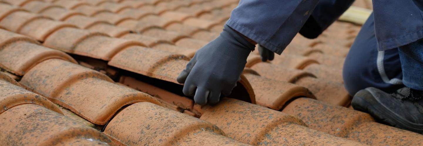 My Home Roof Restoration Brisbane cover photo