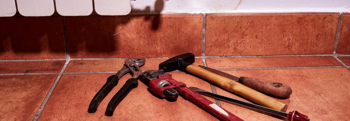 Mold Remediation cover photo