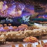 Bubsie Celebrations - photo 5