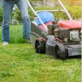 LikeMowing - Gardeners in Adelaide