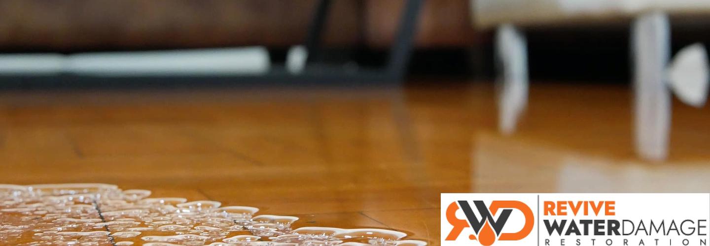 Revive Water Damage Restoration Sydney cover photo