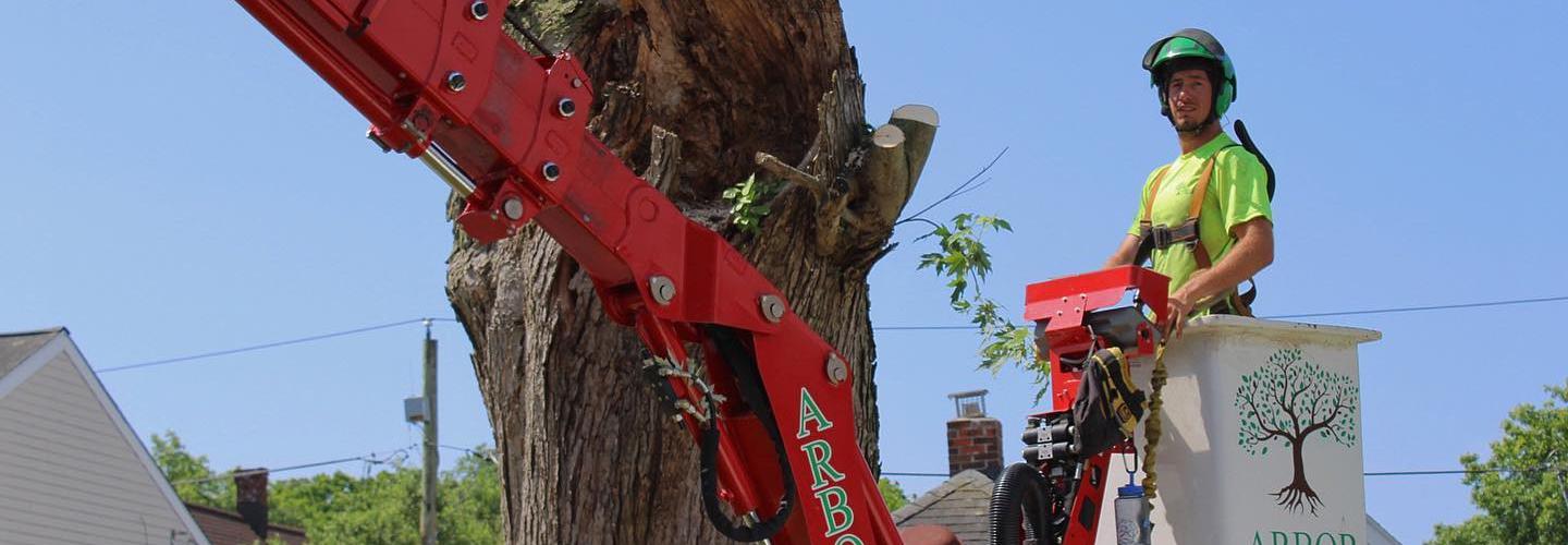 Arbor Green Tree Service cover photo