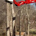 Arbor Green Tree Service - photo 1