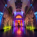 Wise Productions - photo 5