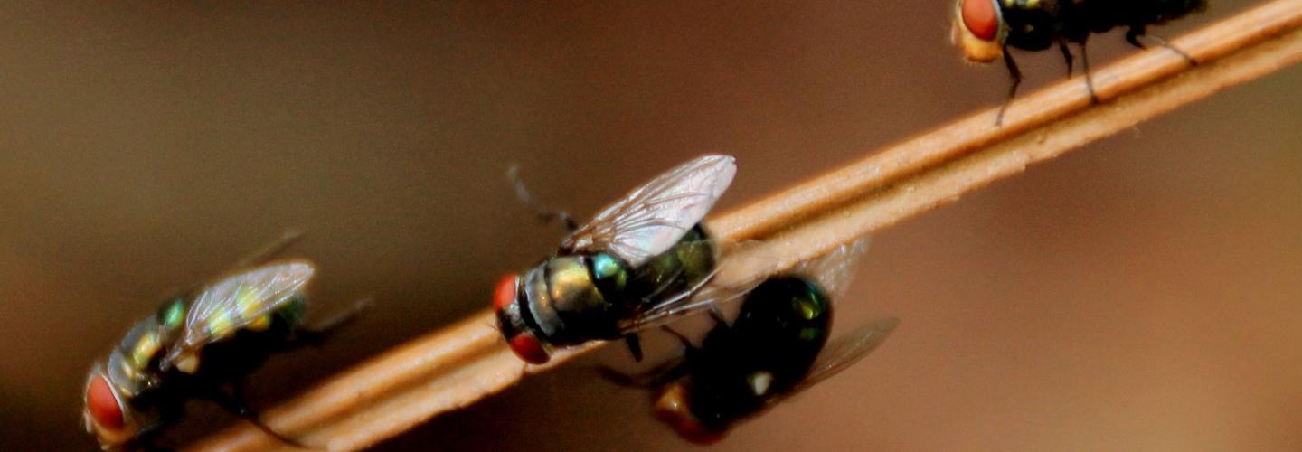 Treasure State Termite Experts cover photo