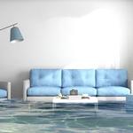 Flood Damage Restoration Coorparoo - photo 2