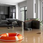 Flood Damage Restoration Coorparoo - photo 3