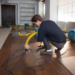 Flood Damage Restoration Coorparoo - photo 4