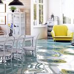 Flood Damage Restoration Coorparoo - photo 5