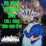 Fireworks Over Miami - photo 7