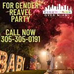 Fireworks Over Miami - photo 9