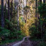 Cookies Tours and Transfers - photo 2