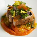 Open Blue - Cobia  - photo 1