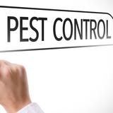 Sparkling Termite Removers - Pest Control in Spartanburg