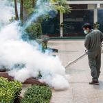 Sparkling Termite Removers - photo 1