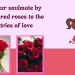 Enviarflor - photo 4