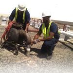US Pipelining LLC. - photo 2