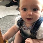 Dream Big Little One Nursery - photo 9