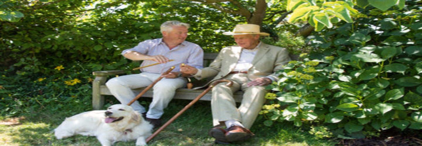 Classy Walking Canes  cover photo