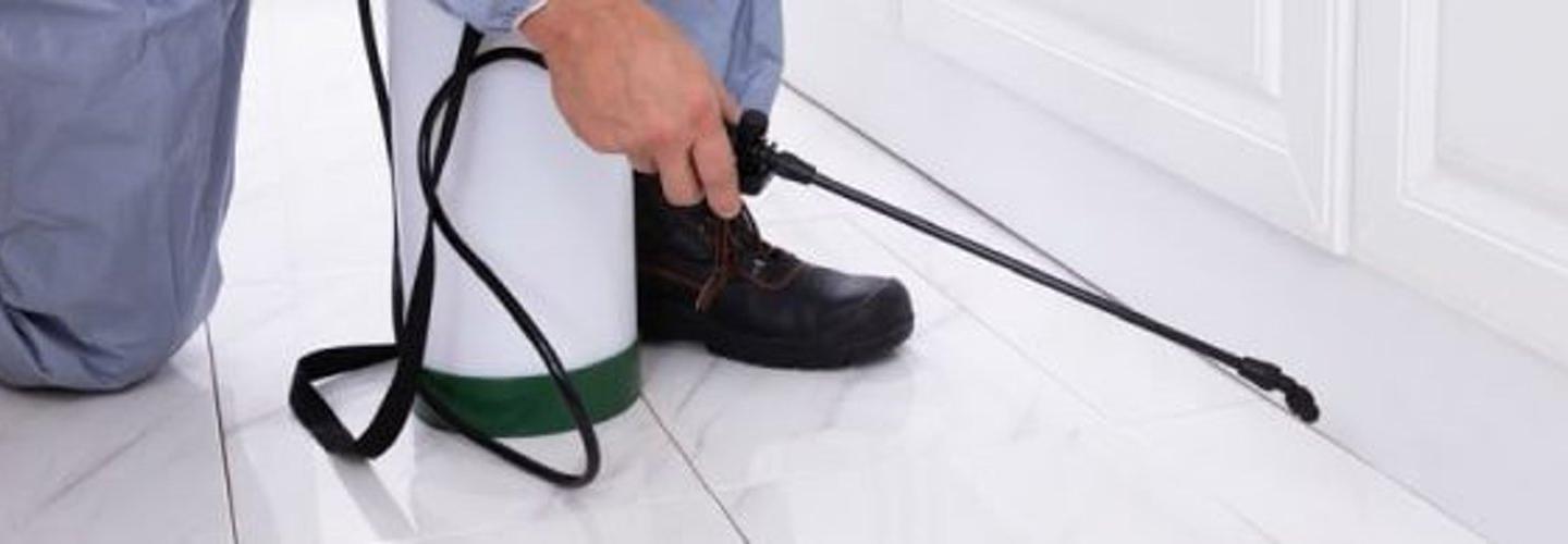 SAMS Pest Control Caloundra cover photo