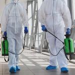 SAMS Pest Control Caloundra - photo 9