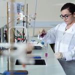 American University RAK - photo 2