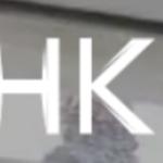 NHK Tiling - photo 2