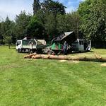 Hertfordshire Trees - photo 3